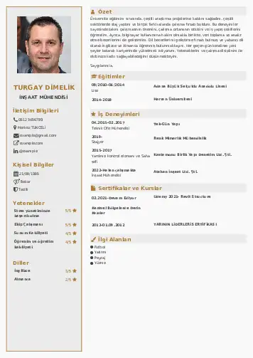 İnşaat Mühendisi Cv Örnekleri cv indir